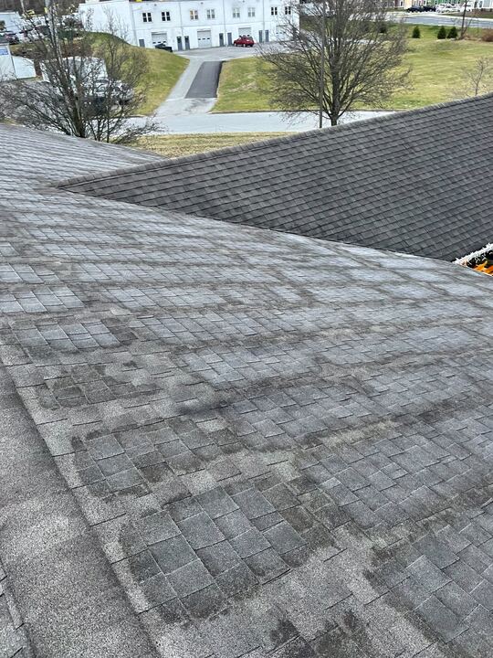 Before Roof Repair